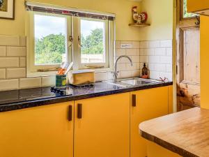 Walnut Lodge في ويلْزْ: مطبخ فيه دواليب صفراء ومغسلة