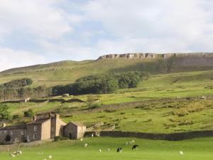 a green field with a house and animals in it at Lilac Cottage in Hawes