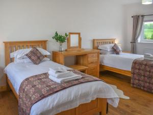 a bedroom with two beds and a mirror at Gwynfa - Uk39366 in Frongoch