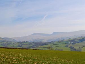 ein Feld mit grünem Gras und Bergen im Hintergrund in der Unterkunft The Pig Sty in Llanfair-ar-y-bryn