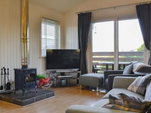 a living room with a fireplace and a television at Sparrows Nest in Tirril