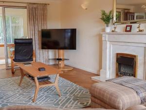 a living room with a tv and a fireplace at Argyle View in Dunblane