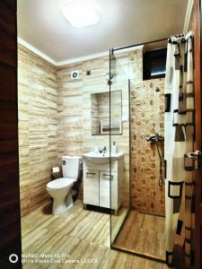 Moigrad的住宿－Vatra Strabunilor，浴室配有卫生间、盥洗盆和淋浴。