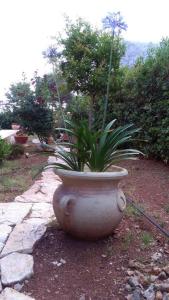 A garden outside VILLA TREROSE by Trerose Properties - Villa centrale con wi-fi e posto auto privato gratuiti Még 37 kép