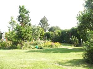 einen Garten mit Bäumen und Blumen auf einem Feld in der Unterkunft Wohnen bei Gabi in Walkendorf