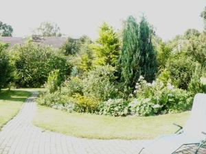 ogród z kwiatami i drzewami na ścieżce w obiekcie Wohnen bei Gabi w mieście Walkendorf