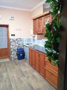 a kitchen with wooden cabinets and a large plant at Tóváros Vendégház in Abádszalók