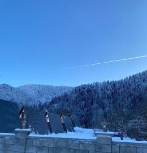 Příroda nedaleko apartmánu