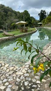 una piscina de agua con bancos y una sombrilla en Chalés da Floresta, en Porto Seguro