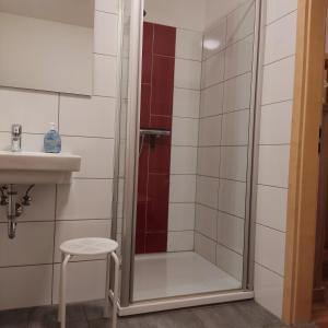 a shower with a glass door next to a sink at Am Wiesengrund in Lebus