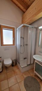 a bathroom with a shower and a toilet and a sink at Les Majis 20 in Champoussin