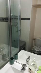een badkamer met een wastafel en een glazen douche bij Beau studio cabine avec balcon, vue piscine, parking privé, climatisation, solarium, laverie in Cap d'Agde