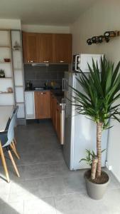 een keuken met een koelkast en een potplant bij Beau studio cabine avec balcon, vue piscine, parking privé, climatisation, solarium, laverie in Cap d'Agde