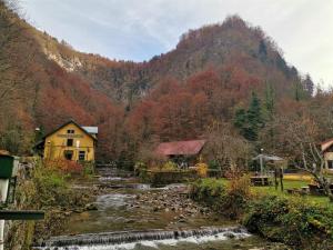 Príroda v okolí apartmánu