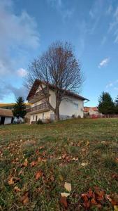 a house with a tree in the middle of a field at Kupres Desktop - mountain house in Kupres