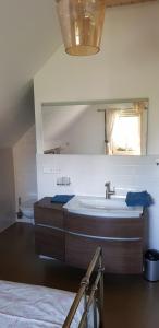 La salle de bains est pourvue d'un lavabo et d'un miroir. dans l'établissement Hossies Hof - Luxus Ferienhaus Scheune, à Bertsdorf