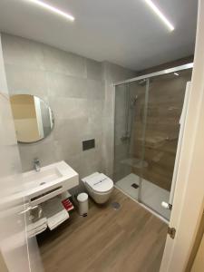 a bathroom with a shower and a toilet and a sink at Hotel Escuela Madrid in Madrid