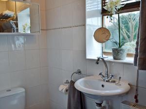 uma casa de banho com um lavatório, um WC e uma janela. em Honey Meadow Cottage em West Hoathley