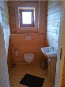 a small bathroom with a toilet and a sink at Felsenlandblick in Dahn +16 photos
