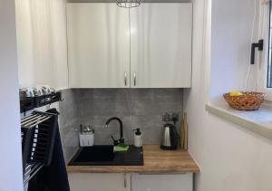 Kuchyňa alebo kuchynka v ubytovaní Zakopartment Zamoyskiego + 22 fotografií