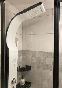 a shower with a glass door in a bathroom at Zakopartment Zamoyskiego in Zakopane