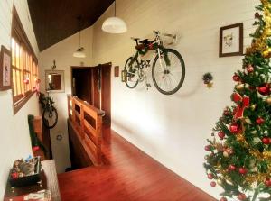 uma bicicleta pendurada numa parede ao lado de uma árvore de Natal em Paraíso dos Ciclistas em Gramado