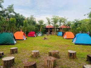 Gallery image of Bat Rice Resort in Phumĭ Thmei