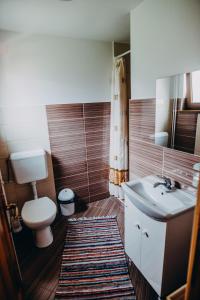 a bathroom with a toilet and a sink at Casa Roland in Gheorgheni