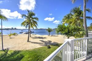 - une vue sur la plage bordée de palmiers et l'océan dans l'établissement Hoani au coeur de la Baie Nettlé, à Saint-Martin