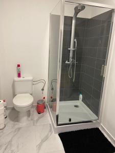 La salle de bains est pourvue de toilettes et d'une douche avec une porte en verre. dans l'établissement Modern Apartment Third Floor, à Bruxelles