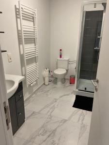 Un baño con inodoro, lavabo y ducha. en Modern Apartment Third Floor, en Bruselas