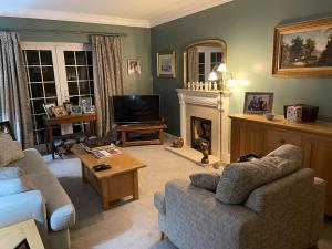 a living room with a couch and a fireplace at Silver Lodge in Mildenhall