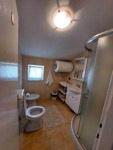 W łazience znajduje się toaleta, umywalka i prysznic. w obiekcie Apartmani M&L w Medulinie