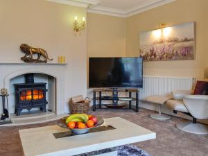 a living room with a fireplace and a television at Maesbangor Farmhouse in Capel Bangor