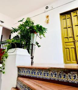 Φωτογραφία από το άλμπουμ του Hostal Santuario de las Libelulas σε Guadalajara