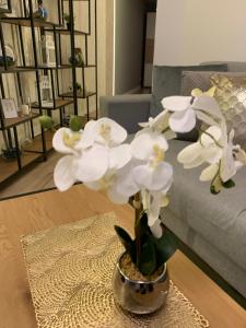 Posedenie v ubytovaní Moderno Apartament