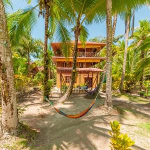 a house with a hammock in the middle of palm trees at Tierra Verde Bed & Breakfast in Bocas del Toro
