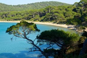 a view of a beach with trees and blue water at Villa Sainte Anne in Porquerolles