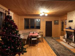 a christmas tree in a living room with a fireplace at Chalet TysaBorkut in Kvasy
