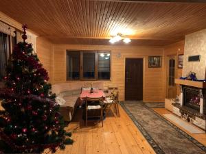 Posezení v ubytování Chalet TysaBorkut