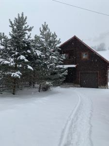 Φωτογραφία από το άλμπουμ του Chalet TysaBorkut σε Kvasy