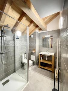 a bathroom with a shower and a toilet and a sink at Chalet Le Gebroulaz in La Toussuire