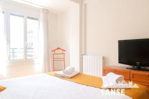 a bedroom with a bed with a flat screen tv at Apartamento Colón by SanSe Holidays in San Sebastián