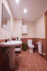 La salle de bains est pourvue d'un lavabo et de toilettes. dans l'établissement Apartamento La Calma, plaza de La Inmaculada, en el centro de León, à León