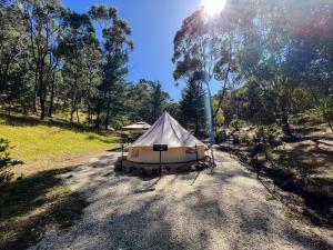 a tent sitting in the middle of a field at Golden Point Glamping in Faraday