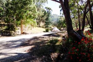 a road in the woods with a tent in the distance at Golden Point Glamping in Faraday