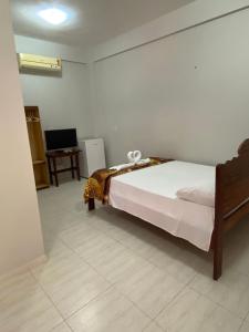 a bedroom with a bed and a television in it at Pousada Encantos da Amazônia in Alter do Chao