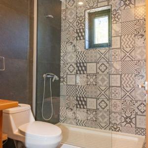 a bathroom with a toilet and a glass shower at Los Cantos del Agua in Malalcahuello