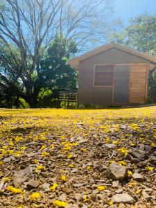 a house in a field of yellow leaves at Cabañas del Bosque in Nandayure
