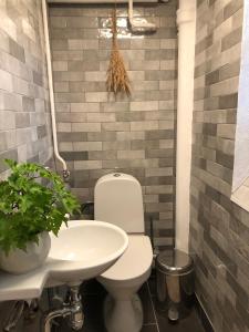 a bathroom with a white toilet and a sink at Hedmansgårdens basement apartment in Trelleborg